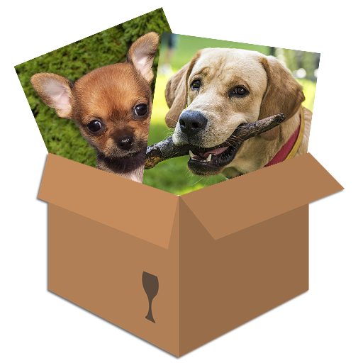 Dogs & Puppies Puzzle Box